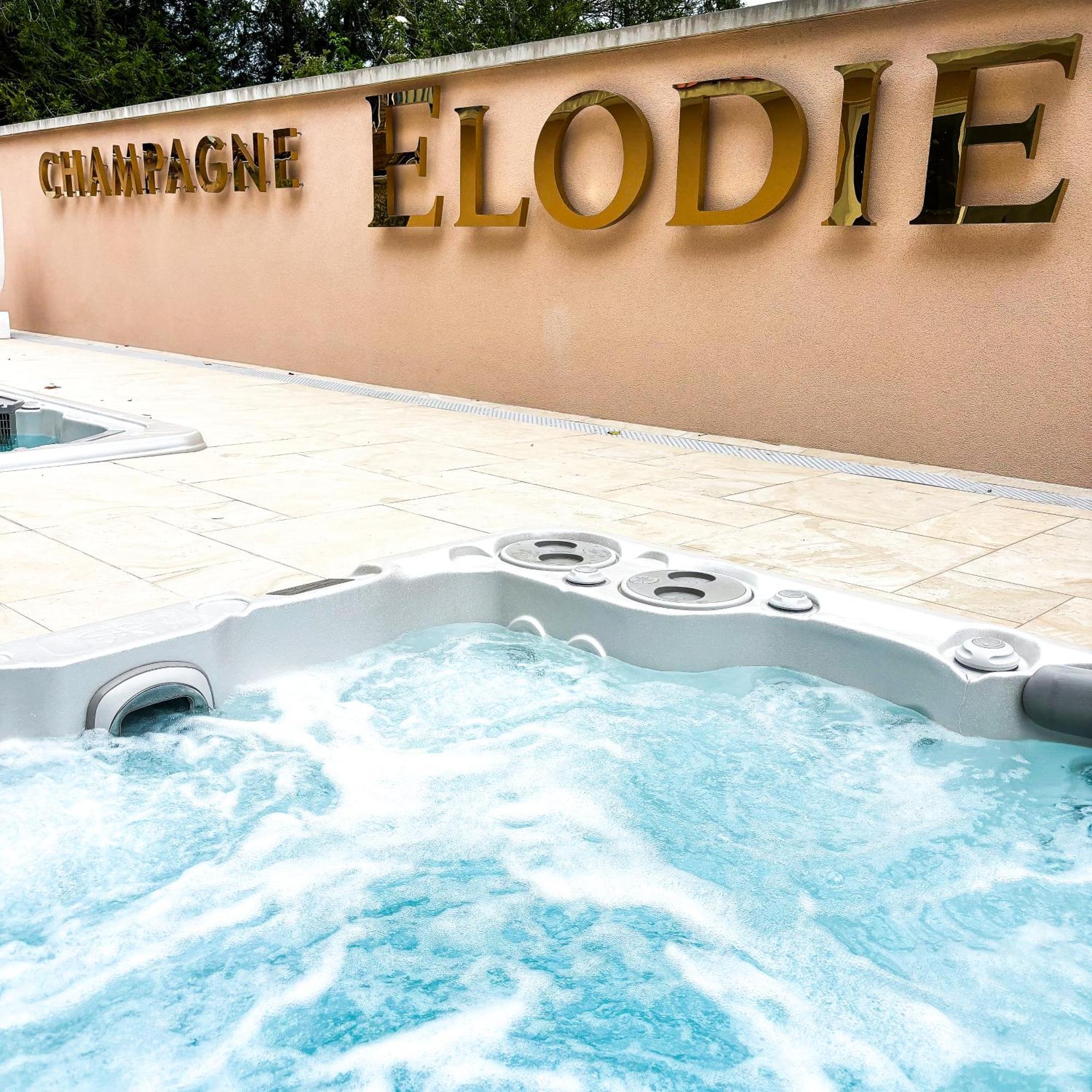 La Demeure d'Elodie Épernay Extérieur photo
