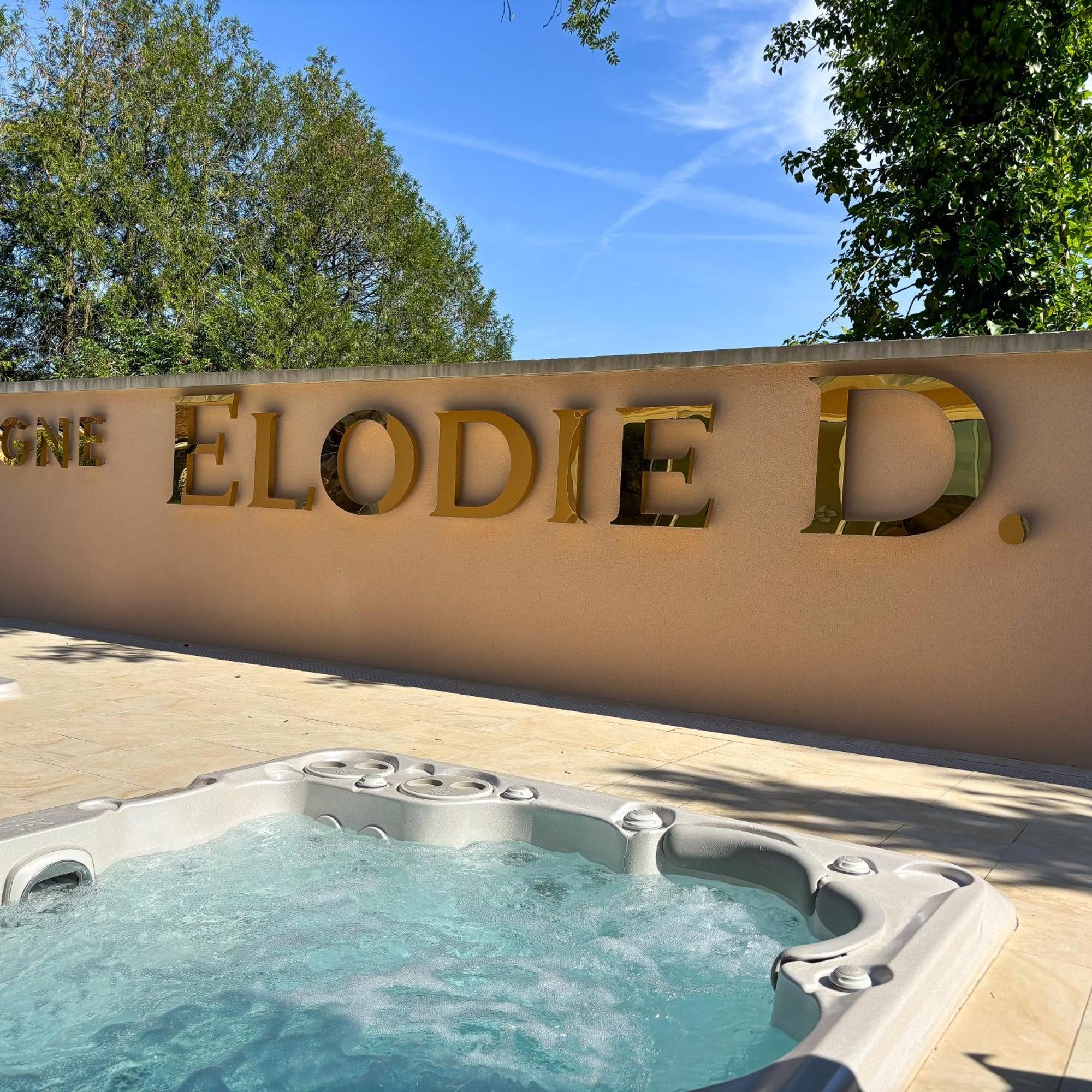 La Demeure d'Elodie Épernay Extérieur photo