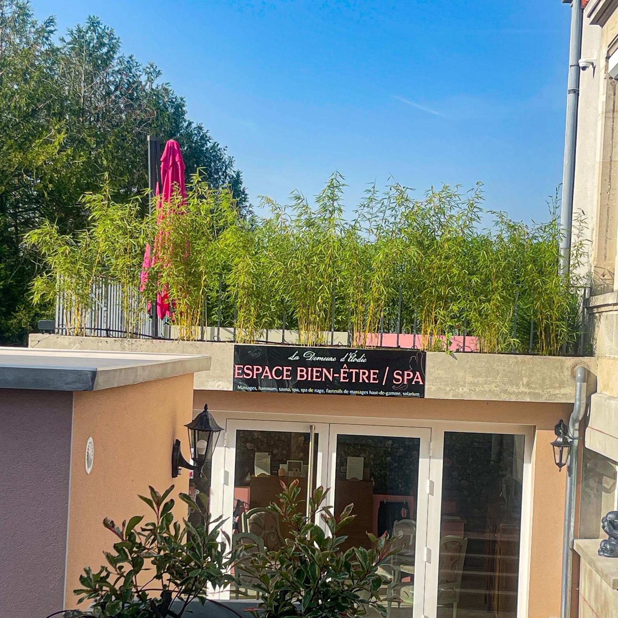 La Demeure d'Elodie Épernay Extérieur photo