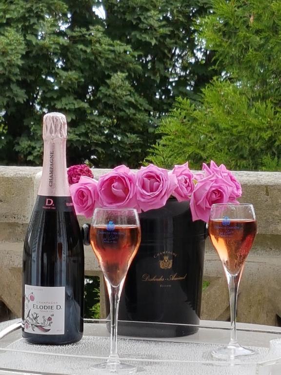 La Demeure d'Elodie Épernay Extérieur photo